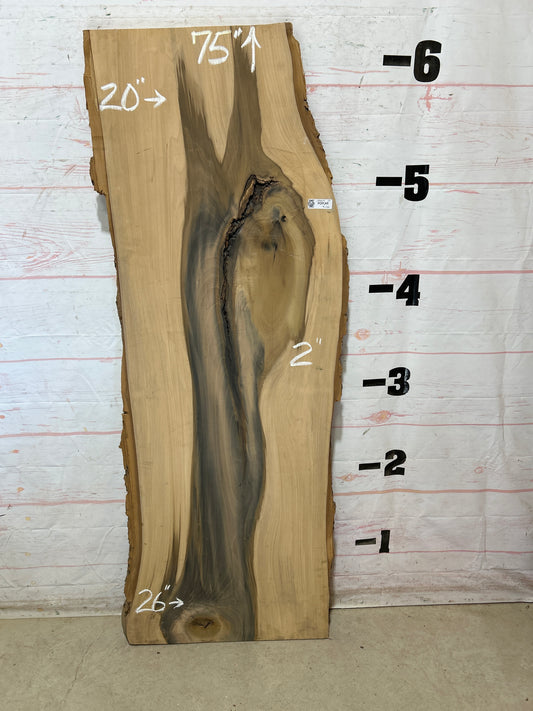 Live Edge Poplar Sku#28809M-24
