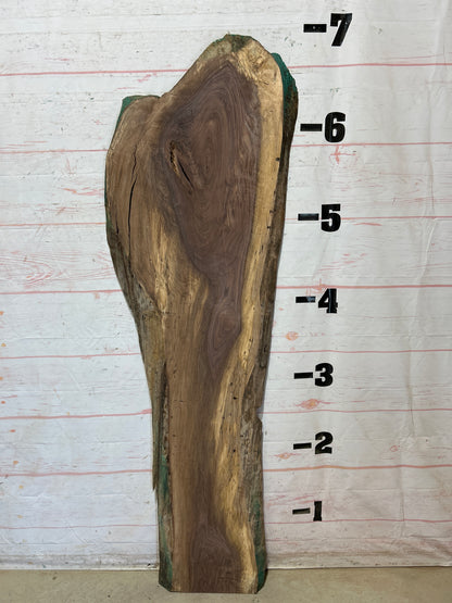 Live Edge Walnut Sku#27928G-23