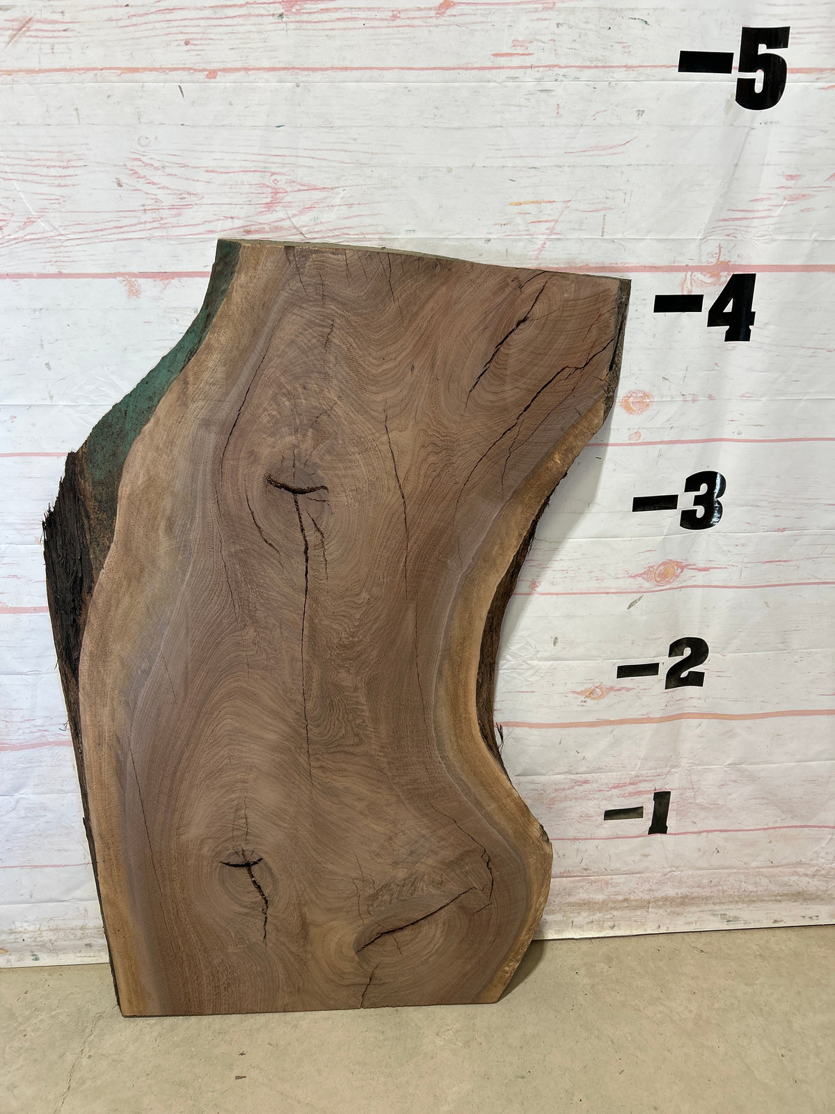 Live Edge Walnut Sku#28844M-24