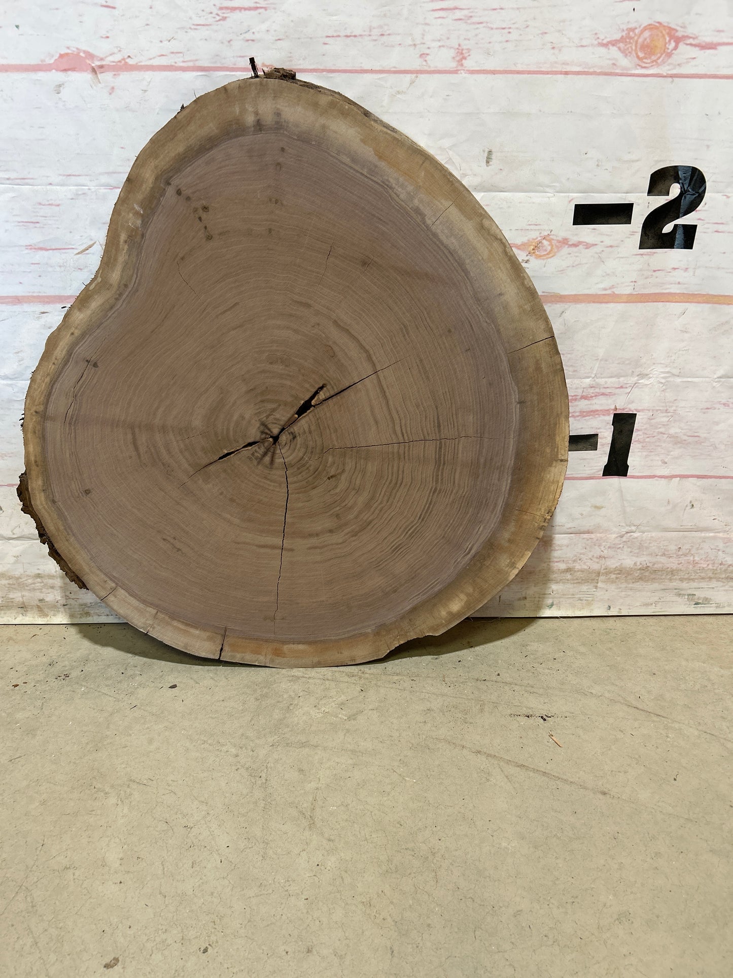 Live Edge Walnut Cookie Sku#28447M