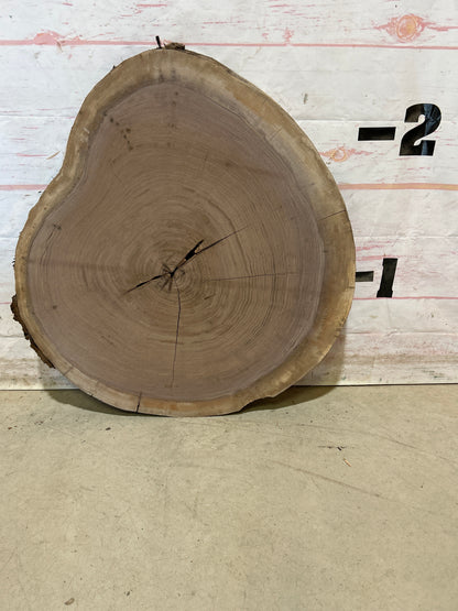 Live Edge Walnut Cookie Sku#28447M