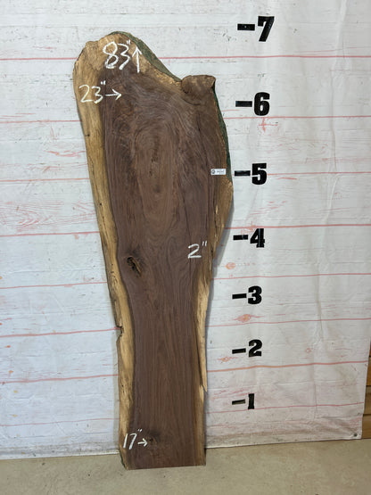 Live Edge Walnut Sku#27928G-23
