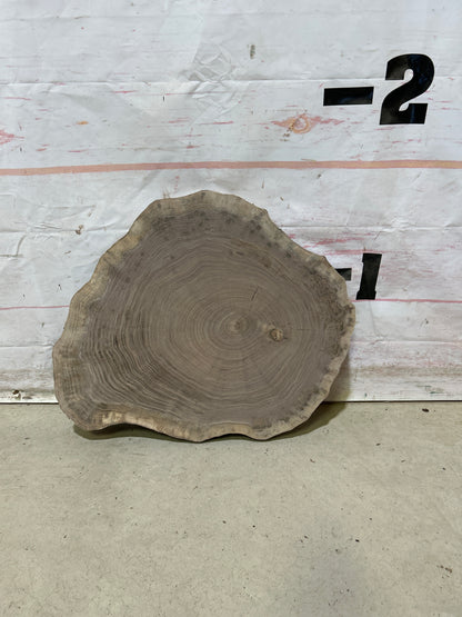 Live Edge Walnut Cookie Sku#27871M