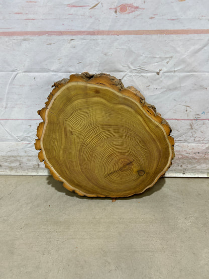 Live Edge Osage Orange Sku#28837M