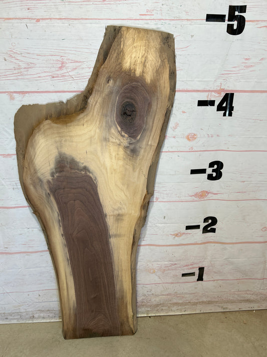 Live Edge Walnut Sku#27801-12