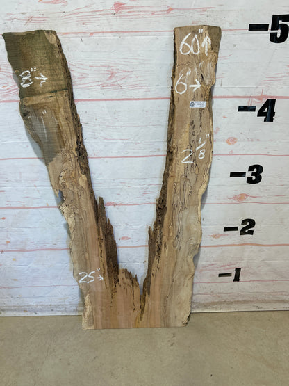 Live Edge Spalted Maple Sku#27974B-17