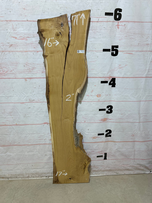 Live Edge Mulberry Sku#27625H-17