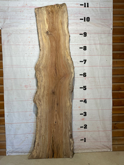 Live Edge Sycamore Sku#28241-71