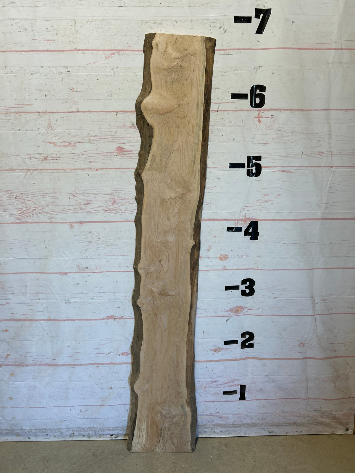 Live Edge Maple Sku#28663E-11