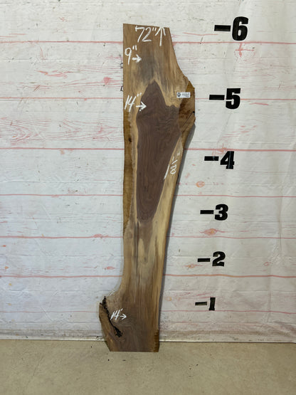 Live Edge Walnut Sku#28217M-6