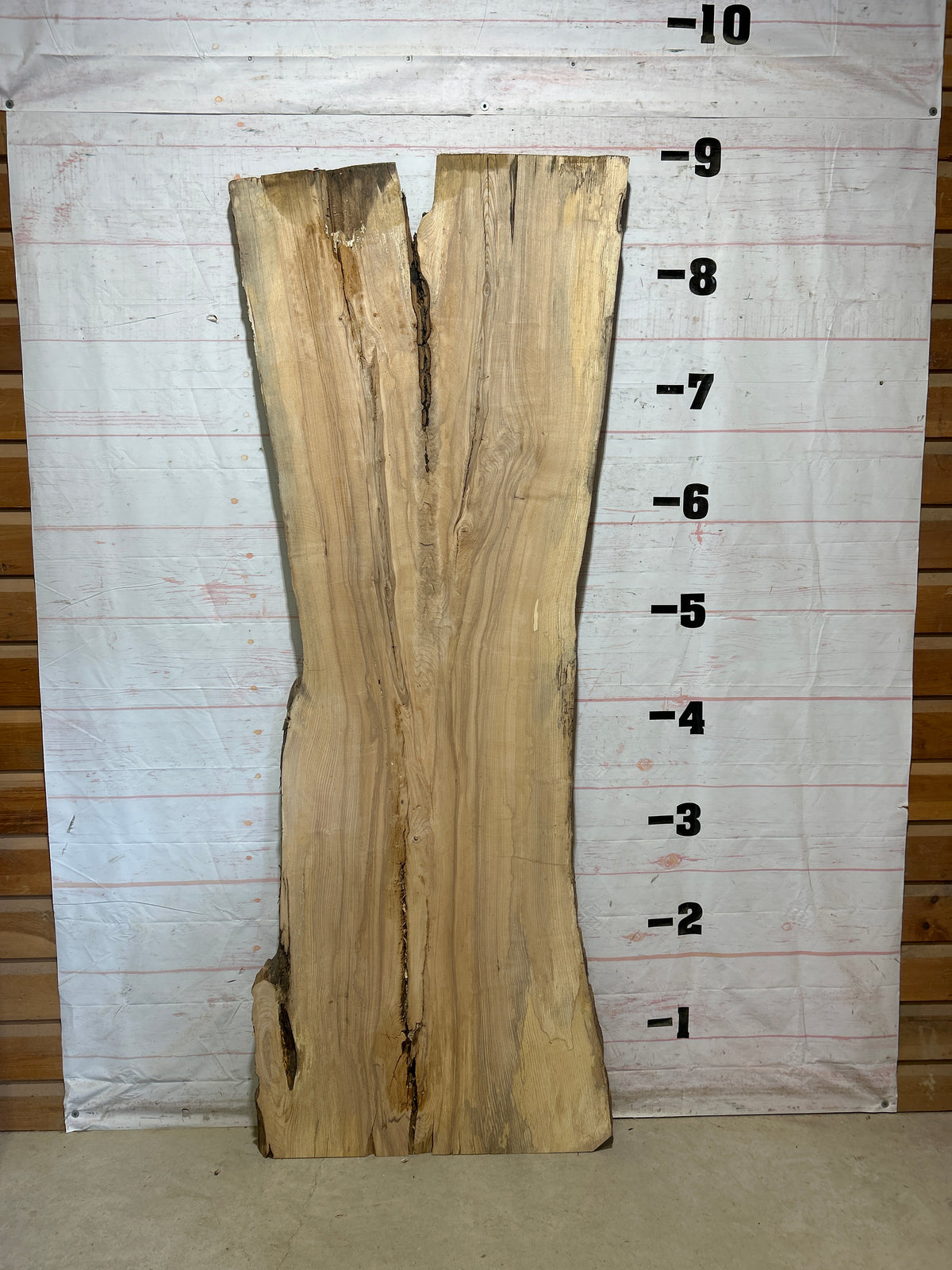 Live Edge Ash Sku#28815-52