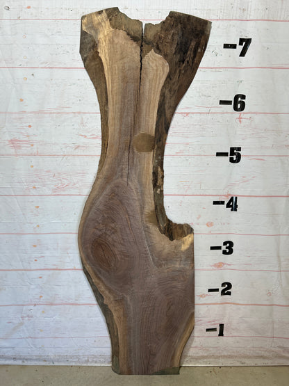 Live Edge Walnut Sku#28306J-28