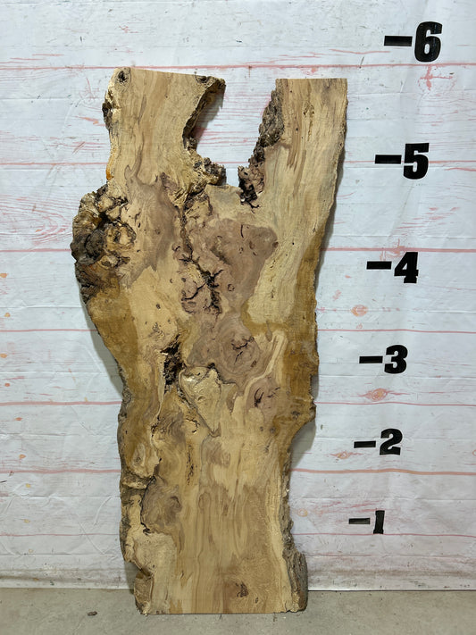 Live Edge Maple Sku#27411E-22