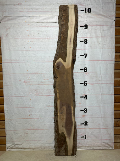 Live Edge Walnut Sku#28951K-28