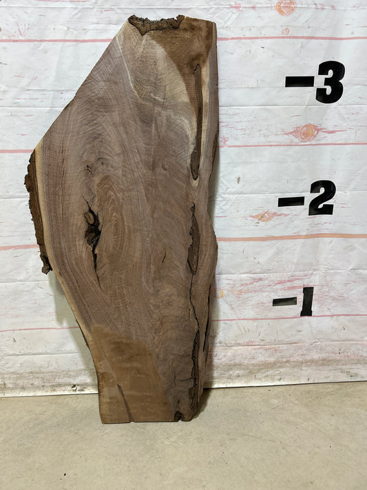 Live Edge Walnut Sku#27390M-9