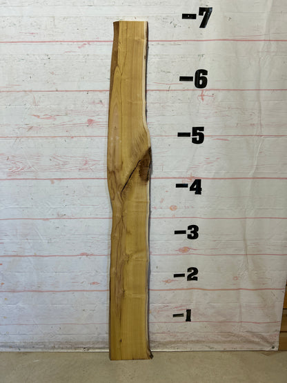 Live Edge Mulberry Sku#28351D-8