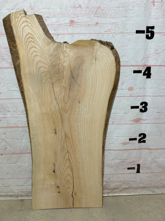 Live Edge Ash Sku#27280N-23