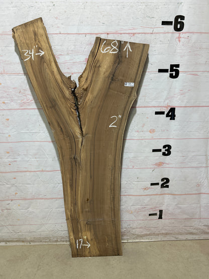Live Edge English Walnut Sku#28932N-25