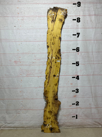 Live Edge Osage Orange Sku#28299-14