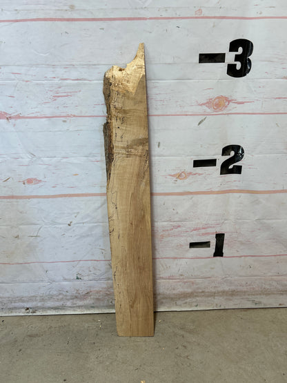 Turning Stock Soft Maple Sku#29016M-3