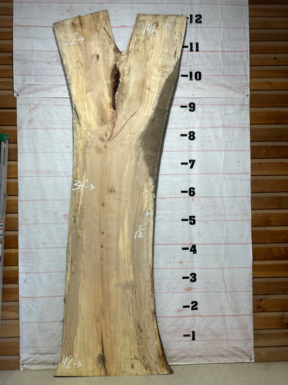 Live Edge Spalted Maple Sku#27302-87