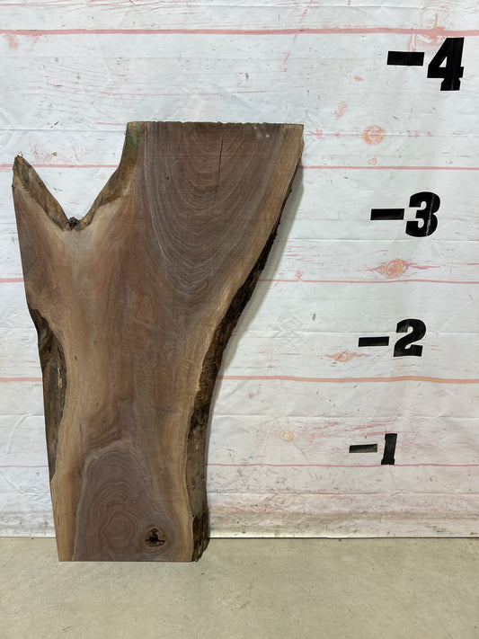 Live Edge Walnut Sku#28272M-11