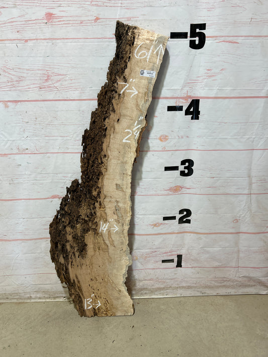 Live Edge Ambrosia Maple Sku#27268-10