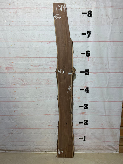 Live Edge Walnut Sku#27998M-12