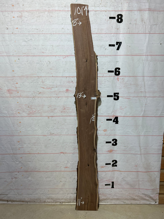 Live Edge Walnut Sku#27998M-12