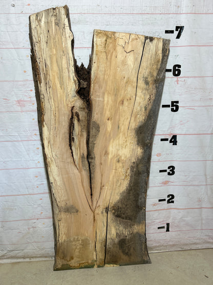Live Edge Maple Sku#28314B-49