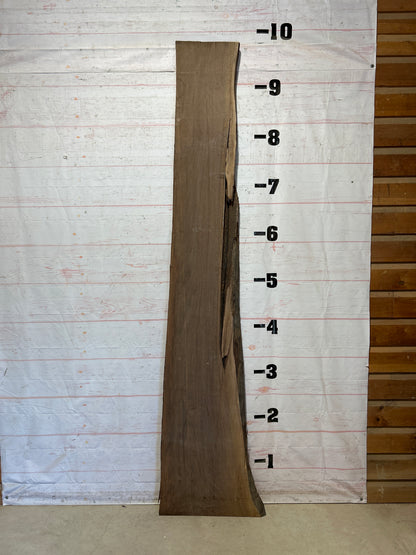 Live Edge Walnut Sku#28728C-31