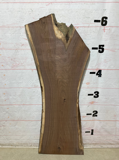 Live Edge Walnut Sku#28947F-25