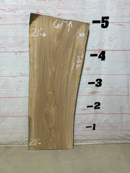 Live Edge Elm Sku#27513D-16