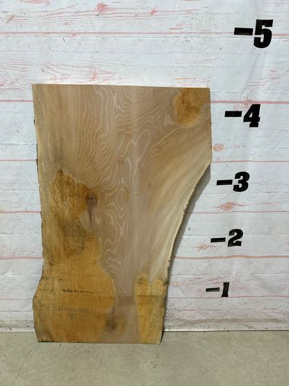 Live Edge Sycamore Sku#28085-19