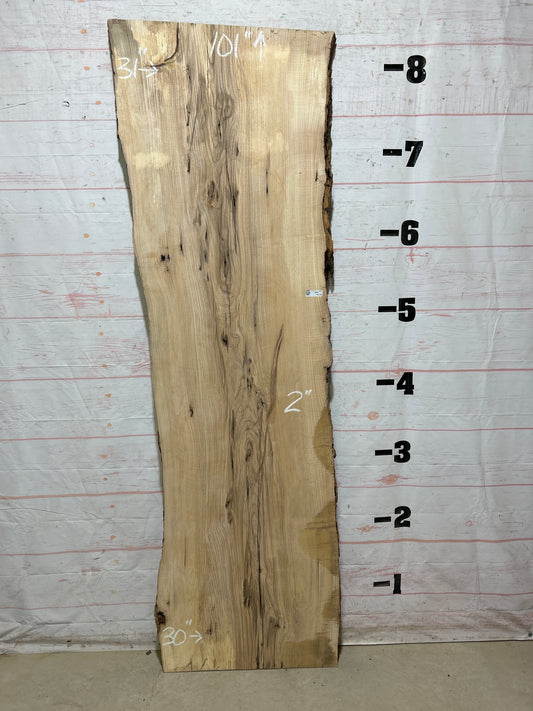 Live Edge Ash Sku#27611-43