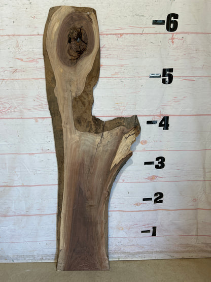 Live Edge Walnut Sku#28391F-14