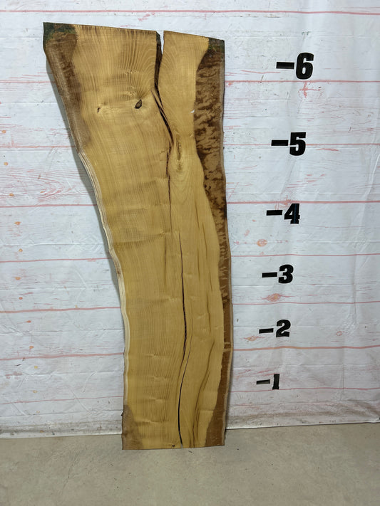 Live Edge Mulberry Sku#27618H-24