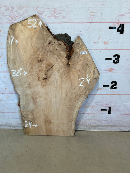 Live Edge Maple Sku#28431E-23