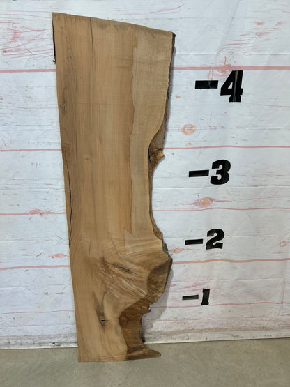 Live Edge Maple Sku#28337E-10