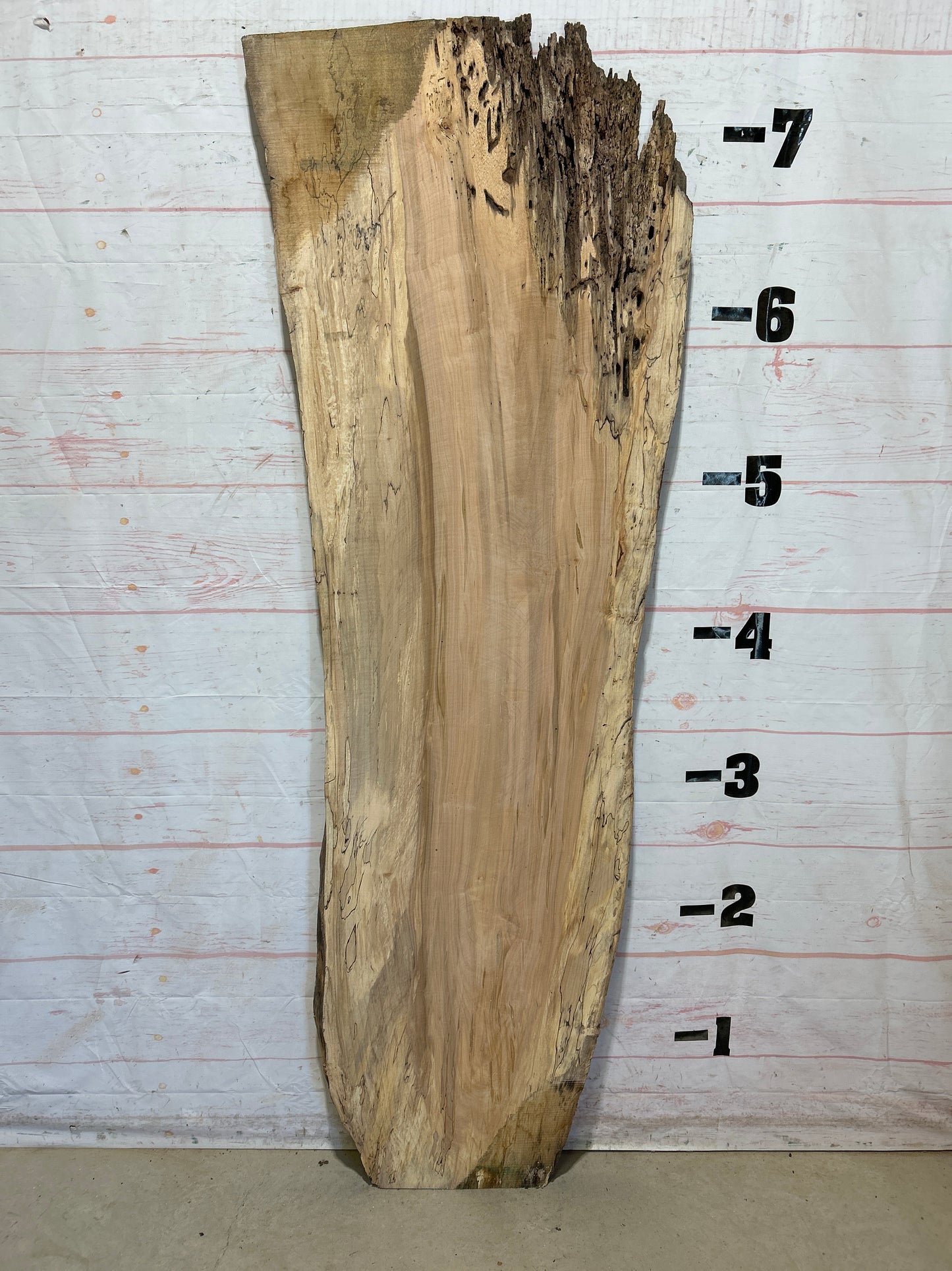 Live Edge Maple Sku#28319-32