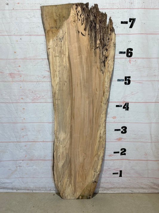 Live Edge Maple Sku#28319-32