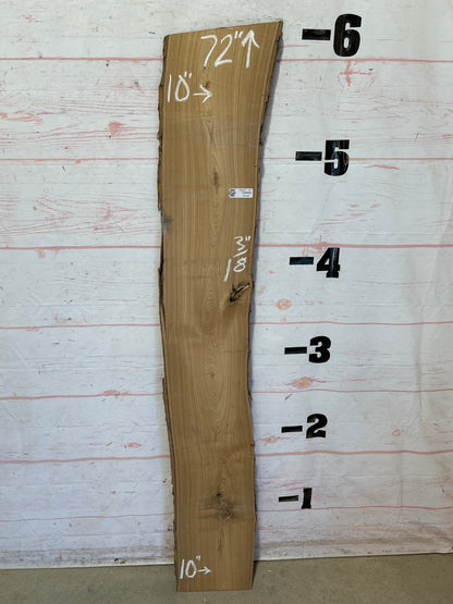 Live Edge Catalpa Sku#28669-8