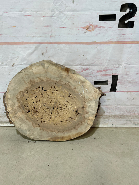 Live Edge Maple Cookie Sku#27883M
