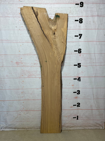 Live Edge Elm Sku#27503D-39