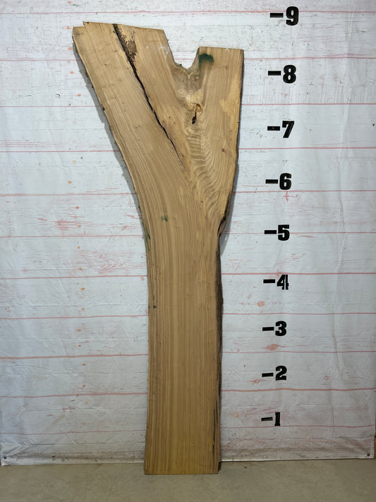 Live Edge Elm Sku#27503D-39