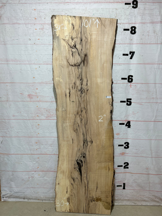 Live Edge Ash Sku#27607-43