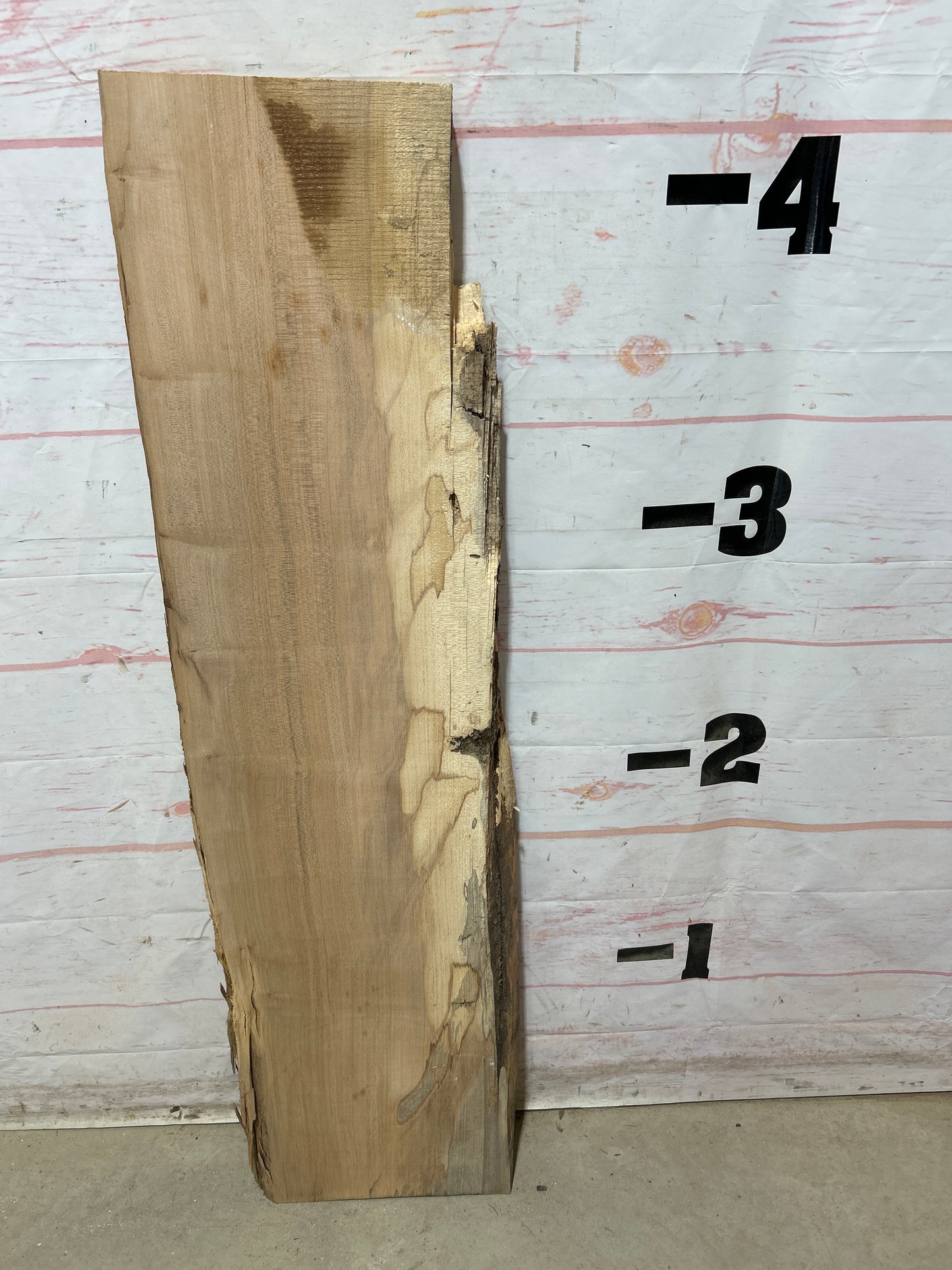 Live Edge Maple Sku#28254M-10