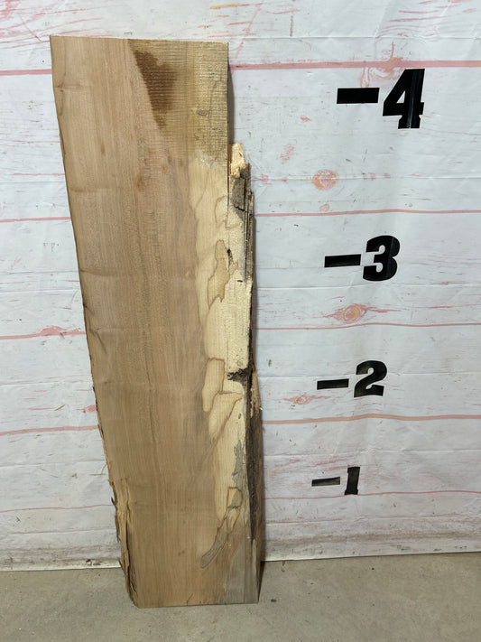 Live Edge Maple Sku#28254M-10