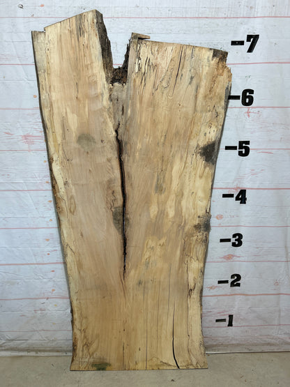Live Edge Maple Sku#28315B-50