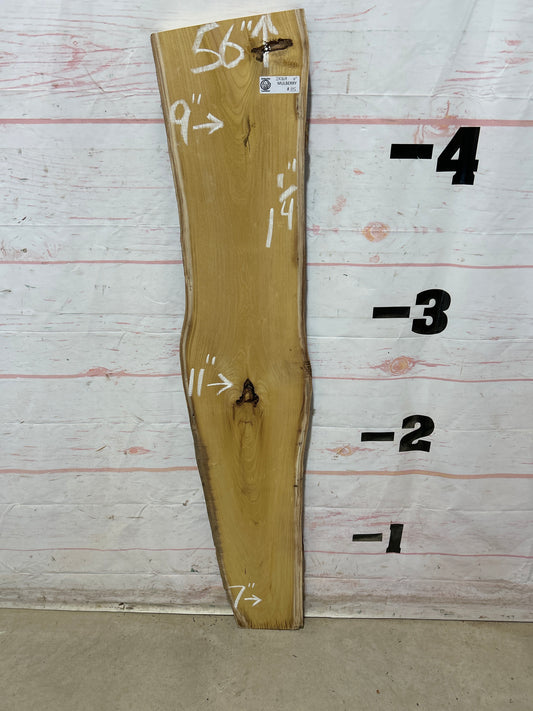 Live Edge Mulberry Sku#28369M-4